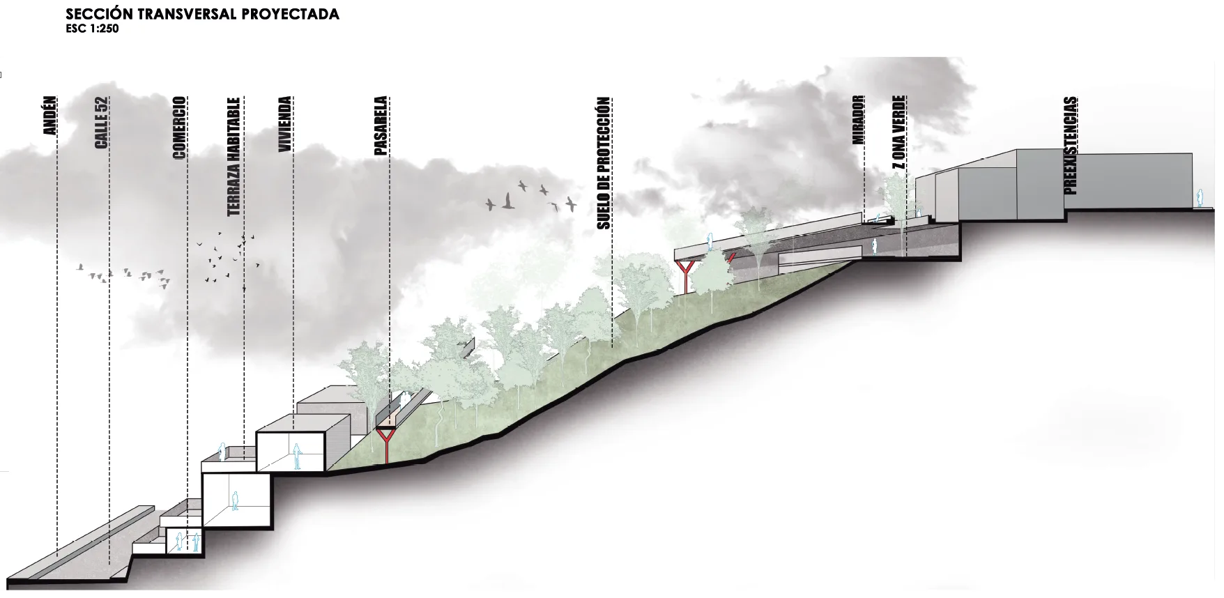Sección transversal por la pasarela